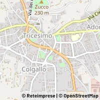 Map Tricesimo