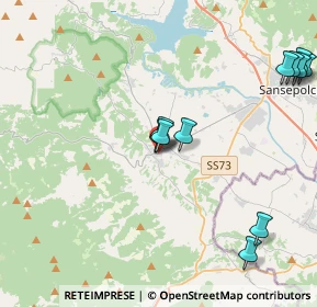 Mappa Via Giuseppe Garibaldi, 52031 Anghiari AR, Italia (4.83455)