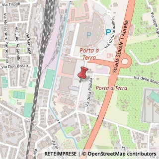 Mappa Via Antonio Bacchelli, 11, 57124 Livorno, Livorno (Toscana)