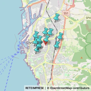 Mappa Via Augusto Liverani, 57125 Livorno LI, Italia (1.0625)