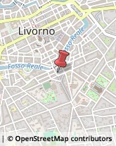 Piazza Cavour, 12,57100Livorno