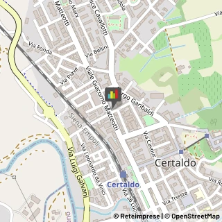 Palestre e Centri Fitness,50052Firenze