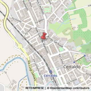 Mappa Viale matteotti giacomo 23/a, 50052 Certaldo, Firenze (Toscana)