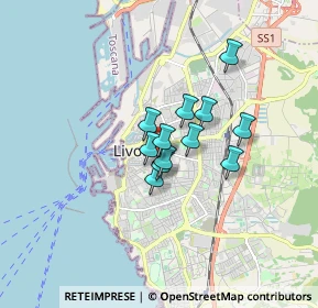 Mappa Via Bernardetto Borromei, 57125 Livorno LI, Italia (1.055)