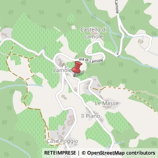 Mappa Via San Pietro, 5A, 50022 Greve in Chianti, Firenze (Toscana)