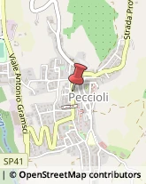 Viale Mazzini, 17,56037Peccioli