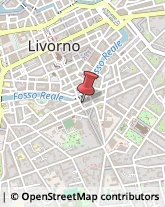 Piazza Cavour, 6,57123Livorno