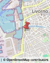 Piazza La Giovine Italia, 32,57121Livorno