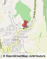 Piazza del Carmine, 6,56037Peccioli