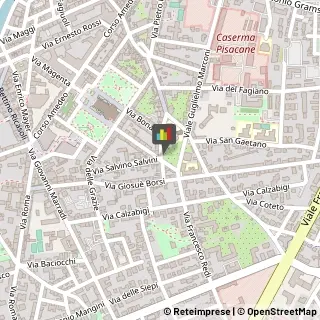 Tappeti,57125Livorno