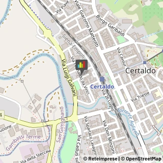 Elettrauto Certaldo,50052Firenze