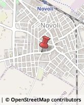 Strada Provinciale Novoli - Trepuzzi, 1,73051Novoli