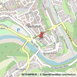 Mappa Via del Piave, 5, 32100 Belluno, Belluno (Veneto)