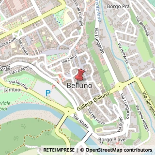 Mappa Via Sant'Andrea, 5, 32100 Belluno, Belluno (Veneto)