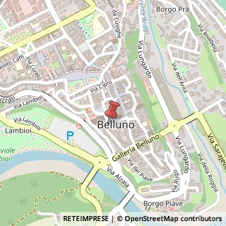 Mappa Via Sant'Andrea, 5, 32100 Belluno BL, Italia, 32100 Belluno, Belluno (Veneto)
