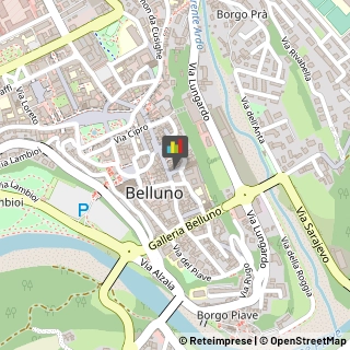 Restauratori d'Arte,32100Belluno
