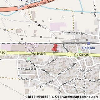 Mappa Via Stelvio,  7, 23014 Delebio, Sondrio (Lombardia)