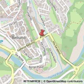 Mappa Via Lungardo,  55, 32100 Belluno, Belluno (Veneto)