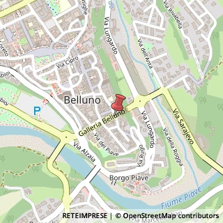 Mappa Via Santa Maria dei Battuti, 40, 32100 Belluno, Belluno (Veneto)