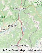 Comuni e Servizi Comunali Belluno,32100Belluno