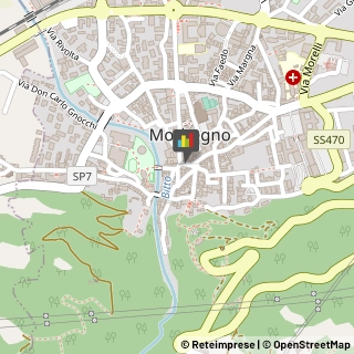 Odontoiatri e Dentisti - Medici Chirurghi Morbegno,23017Sondrio
