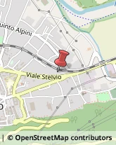 Via Stelvio, 286,23017Morbegno