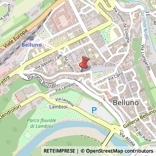 Mappa Via Giacomo Matteotti, 28, 32100 Belluno, Belluno (Veneto)