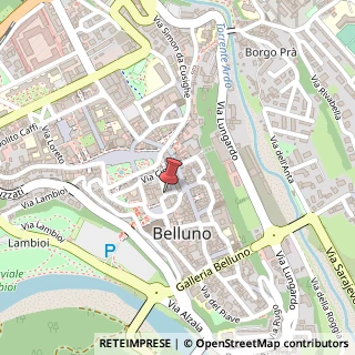 Mappa Via catullo tomaso 7, 32100 Belluno, Belluno (Veneto)