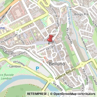 Mappa Piazza dei Martiri, 6, 32100 Belluno, Belluno (Veneto)