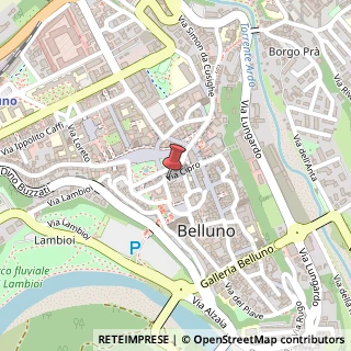 Mappa Via Cipro, 13, 32100 Belluno, Belluno (Veneto)
