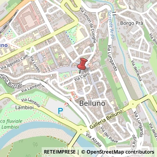 Mappa Piazza dei Martiri, 8, 32100 Belluno, Belluno (Veneto)