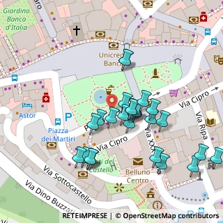 Mappa Piazza dei Martiri, 32100 Belluno BL, Italia (0.03929)