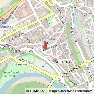 Mappa Piazza Castello, 21, 32100 Belluno, Belluno (Veneto)