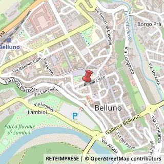Mappa Via Repubblica, 32, 32100 Belluno, Belluno (Veneto)