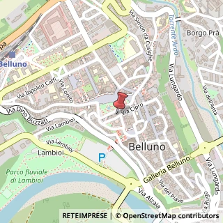 Mappa Piazza dei Martiri, 16, 32100 Belluno, Belluno (Veneto)