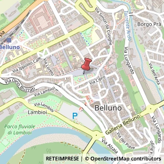 Mappa Piazza dei Martiri, 15, 32100 Belluno, Belluno (Veneto)