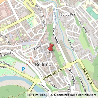 Mappa Via Mezzaterra, n. 7 g, 32100 Belluno, Belluno (Veneto)