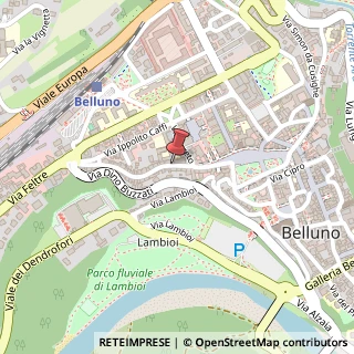 Mappa Via Giuseppe Garibaldi,  20, 32100 Belluno, Belluno (Veneto)