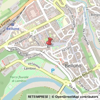 Mappa Via Giacomo Matteotti, 3b, 32100 Belluno, Belluno (Veneto)