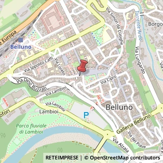 Mappa Via Giovanni Matteotti, 37, 32100 Belluno, Belluno (Veneto)