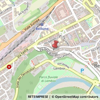 Mappa Via Giuseppe Garibaldi, 59, 32100 Belluno, Belluno (Veneto)