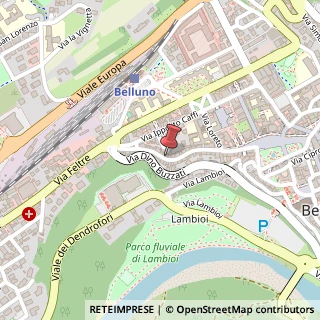 Mappa Via Giuseppe Garibaldi, 66, 32100 Belluno, Belluno (Veneto)