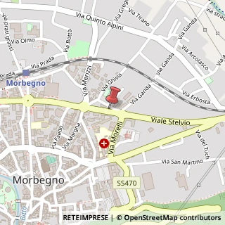 Mappa Viale Stelvio, 109, 23017 Morbegno, Sondrio (Lombardia)