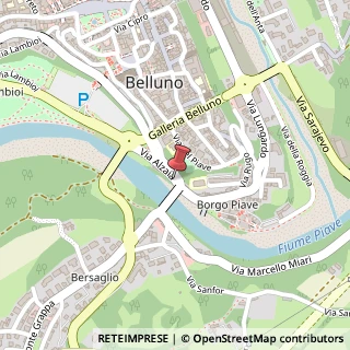 Mappa Via Alzaia, 1, 32100 Belluno, Belluno (Veneto)