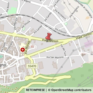 Mappa Viale Stelvio, 224, 23017 Morbegno, Sondrio (Lombardia)