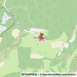 Mappa Via Falzes, 23, 39031 Brunico, Bolzano (Trentino-Alto Adige)