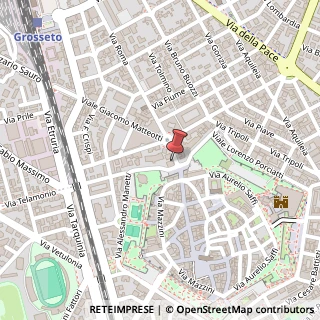 Mappa Via Oriana Fallaci, 15, 58100 Grosseto, Grosseto (Toscana)