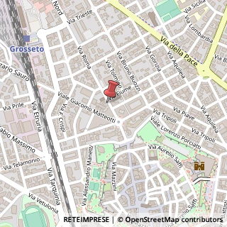 Mappa Via Roma, 8, 58100 Grosseto, Grosseto (Toscana)