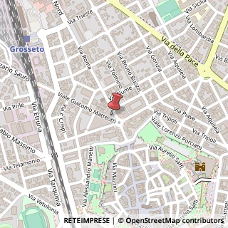 Mappa Piazza Fratelli Rosselli, 1, 58100 Grosseto, Grosseto (Toscana)