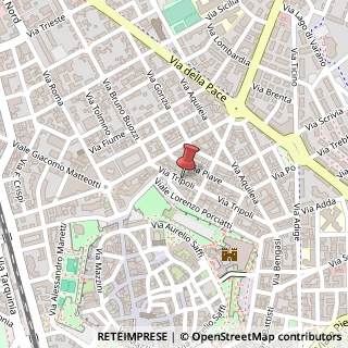 Mappa Via Tripoli, 41, 58100 Grosseto, Grosseto (Toscana)